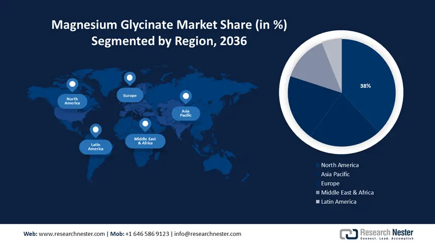 Magnesium Glycinate Market Share